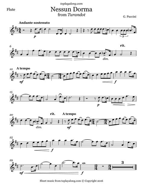 Nessun Dorma From Turandot For Flute Or Oboe Or Violin & Flute Or Oboe Or Violin Duet-Music For Two